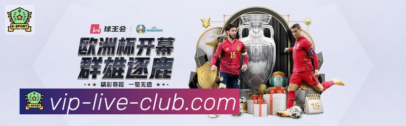 奖项2